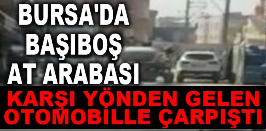 Bursa'da başıboş at arabası karşı yönden gelen otomobille çarpıştı