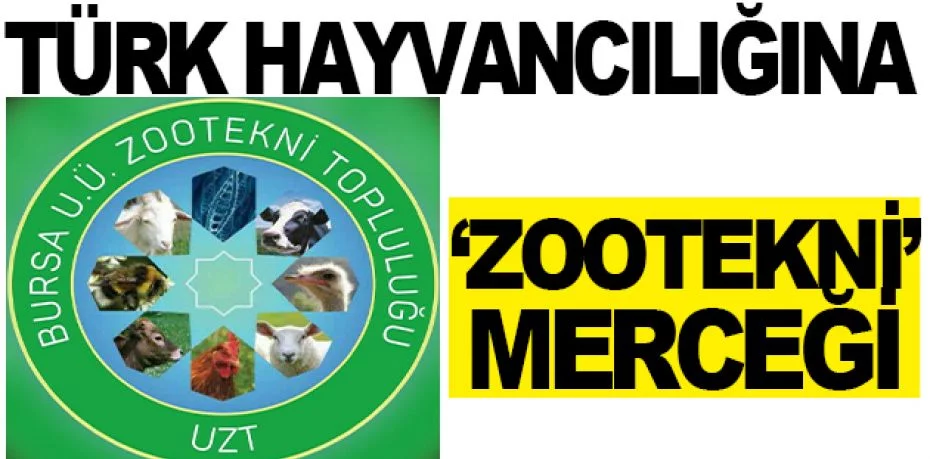 Türk hayvancılığına ‘Zootekni’ merceği