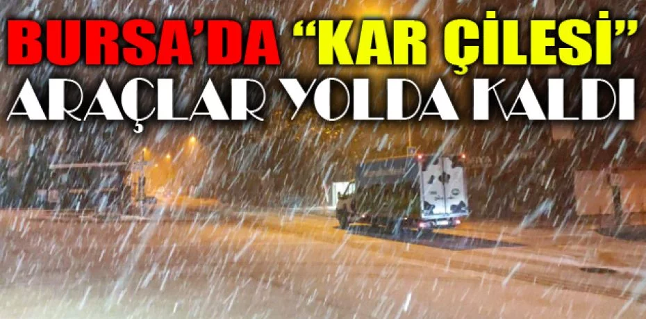 Kar hayatı olumsuz etkiledi, Mudanya yolu kapandı