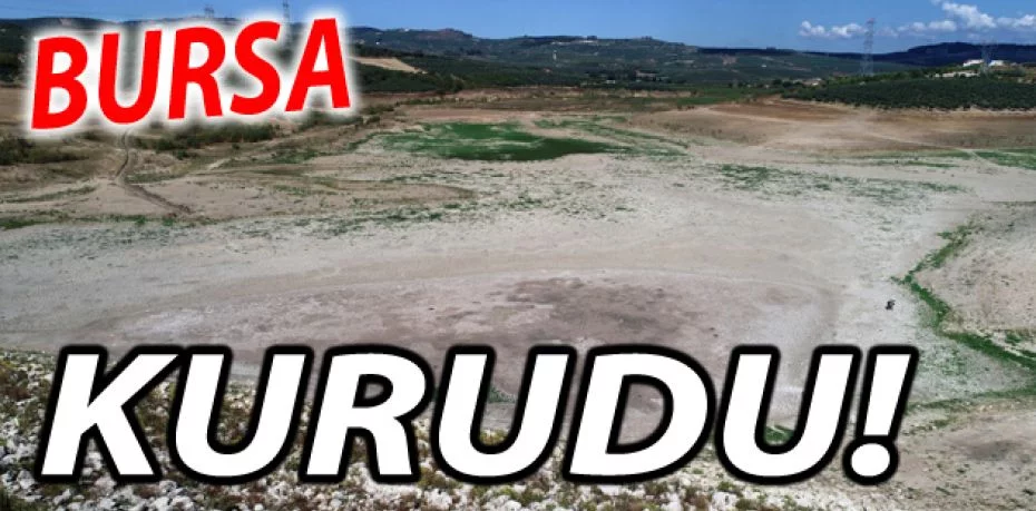 Bursa'da, 3 köyün sulama ihtiyacını karşılayan gölet kurudu!