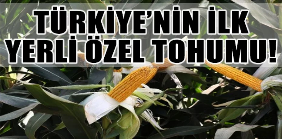 Türkiye’nin ilk yerli özel tohum firması MAY Tohum yeni yatırımlarıyla büyüyor