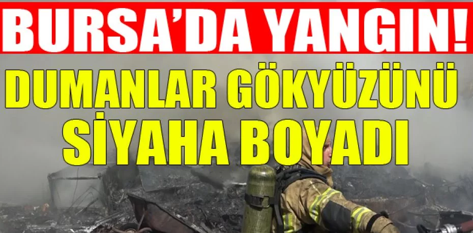 Bursa'da geri dönüşüm tesisinde yangın...