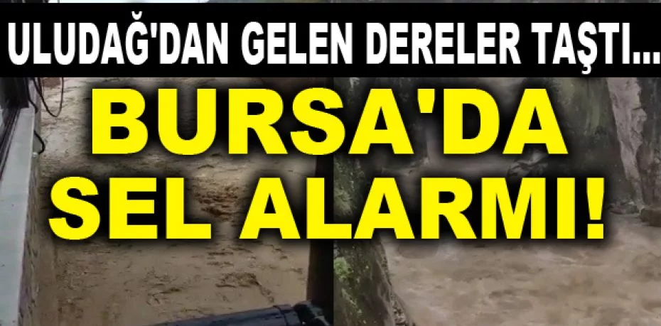 Uludağ'dan gelen dereler taştı...Bursa'da sel alarmı