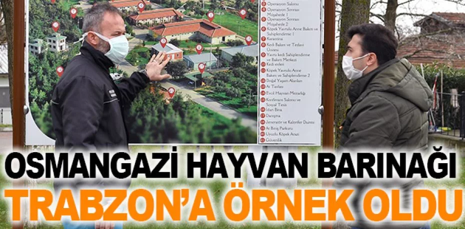 Osmangazi Hayvan Barınağı Trabzon’a örnek oldu