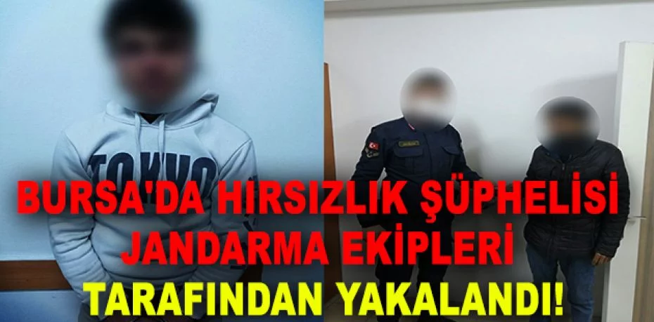 Bursa'da hırsızlık şüphelisi jandarma ekipleri tarafından yakalandı