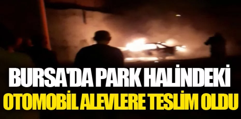 Bursa'da park halindeki otomobil alevlere teslim oldu