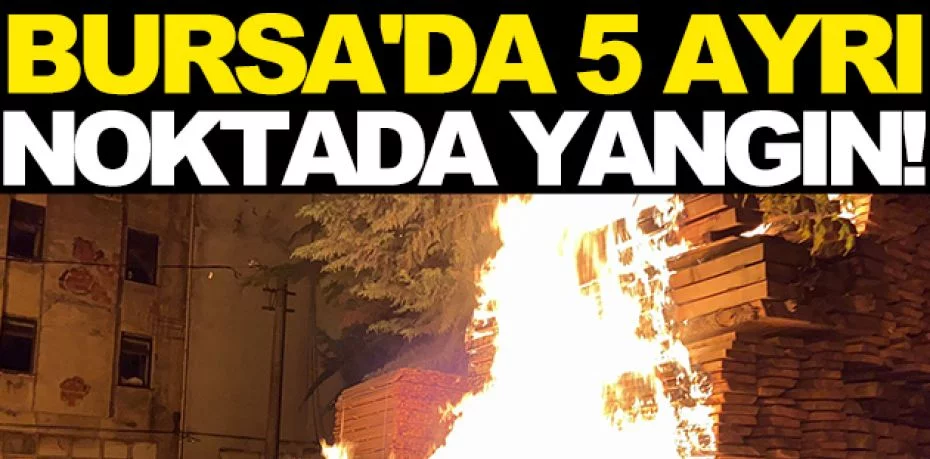 Bursa'da 5 ayrı noktada çıkan yangın korkuttu