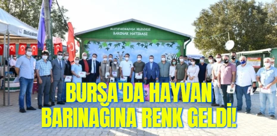 BURSA'DA HAYVAN BARINAĞINA RENK GELDİ!