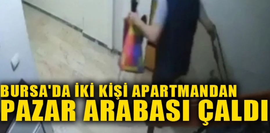 Bursa'da iki kişi apartmandan pazar arabası çaldı