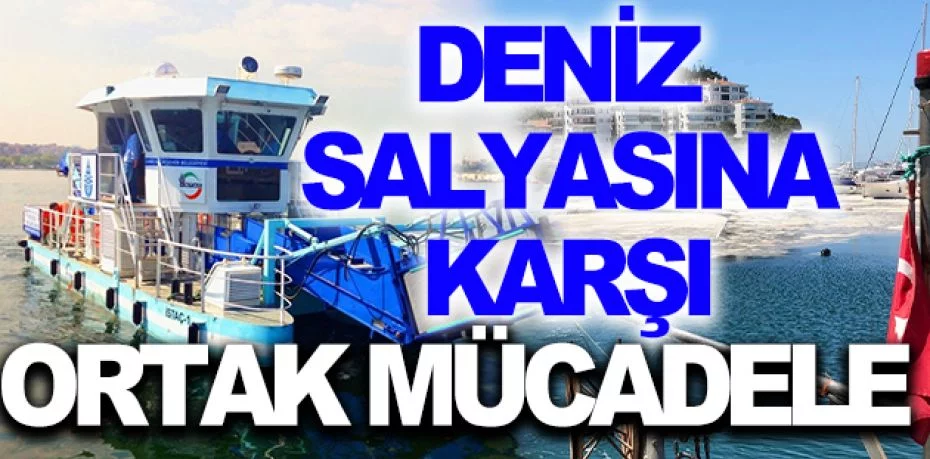 Marmara'da deniz salyasına karşı ortak mücadele