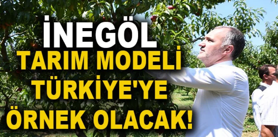 İnegöl tarım modeli Türkiye'ye örnek olacak