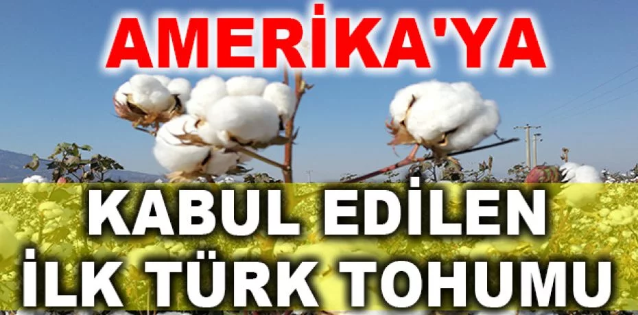 Amerika'ya kabul edilen ilk Türk tohumu
