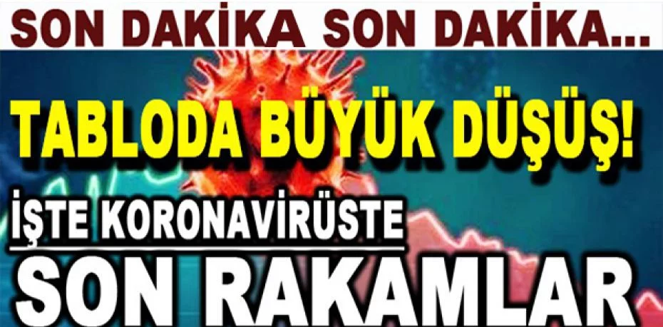 21 Şubat Türkiye koronavirüs tablosu açıklandı