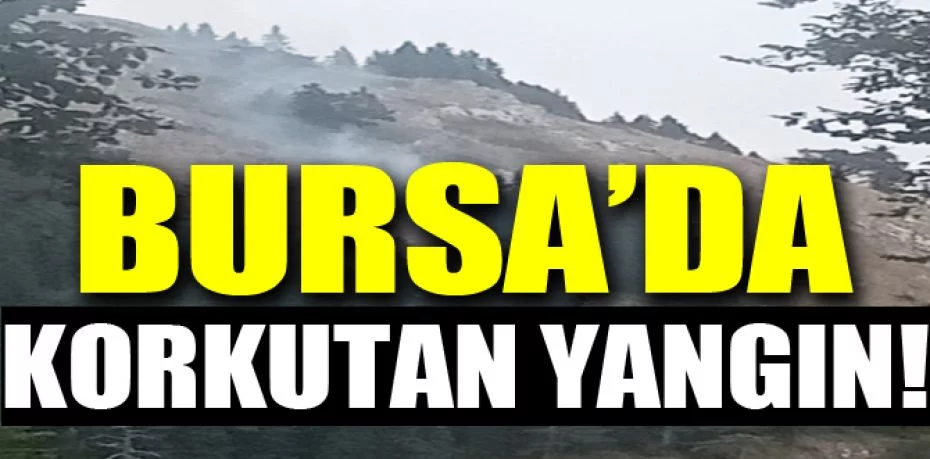 Bursa'da korkutan orman yangını