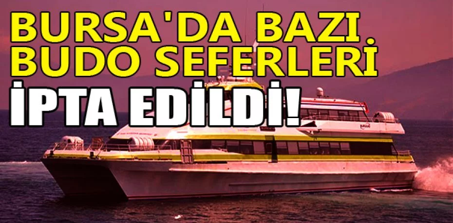 Bursa'da bazı BUDO seferleri iptal edildi