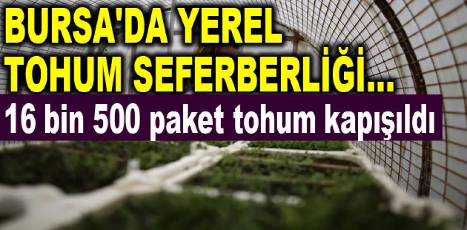 Bursa'da yerel tohum seferberliği...16 bin 500 paket tohum kapışıldı