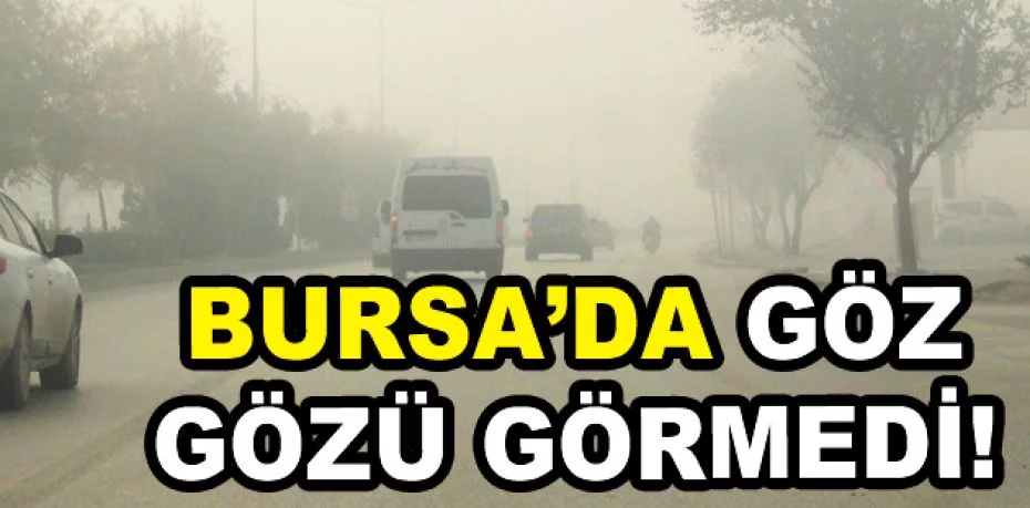 Bursa'da sis sürücülere zor anlar yaşattı