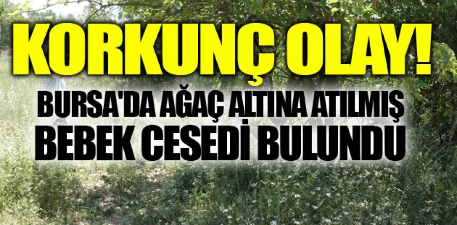 Bursa'da ağaç altına atılmış bebek cesedi bulundu