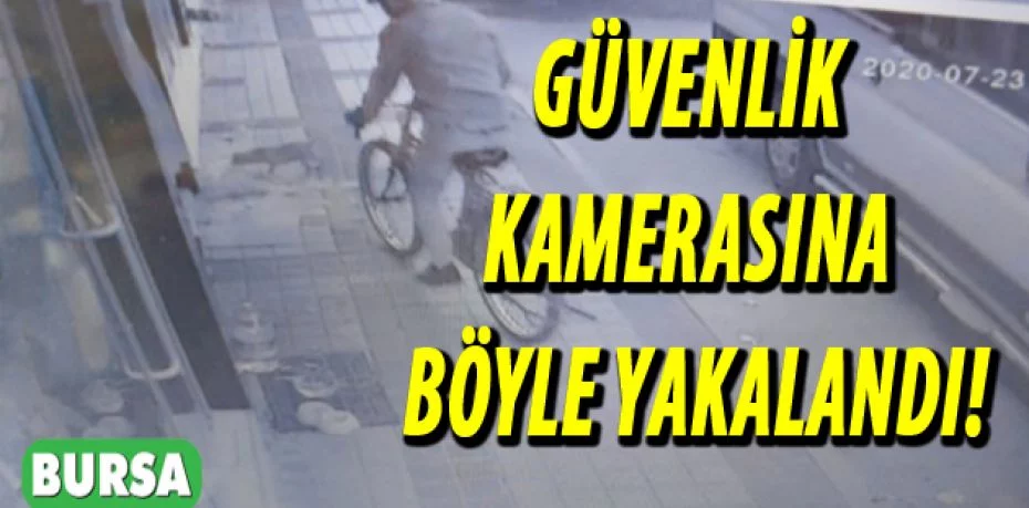 Bursa'da yavru köpeği çalan hırsız güvenlik kamerasına yakalandı