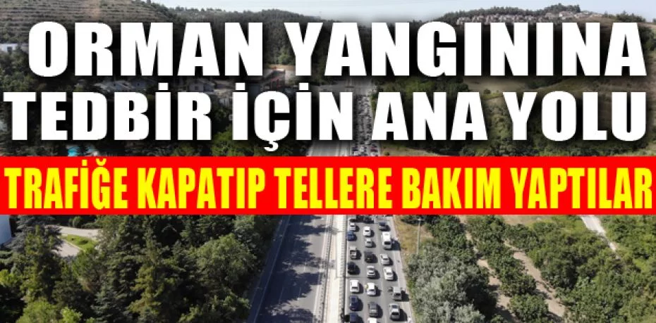 Bursa'da orman yangınına tedbir için ana yolu trafiğe kapatıp tellere bakım yaptılar