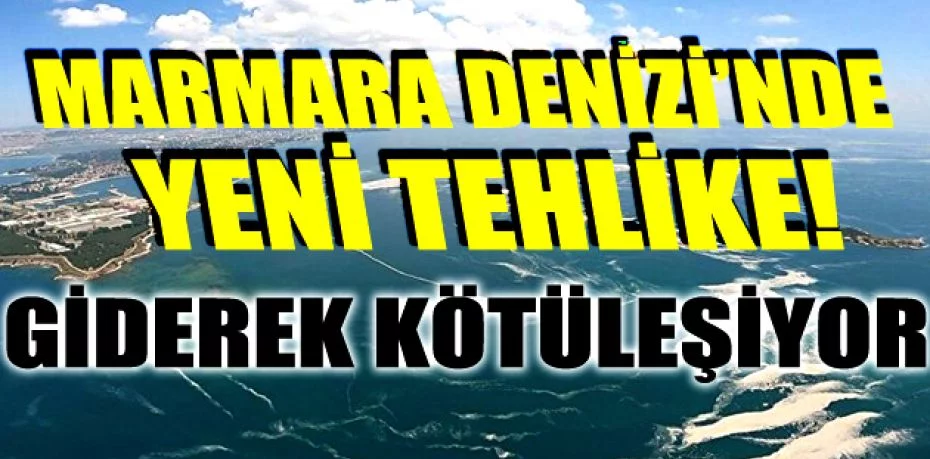 Marmara Denizi'nde yeni tehlike! Müsilajdan sonra şimdi de oksijen azlığı