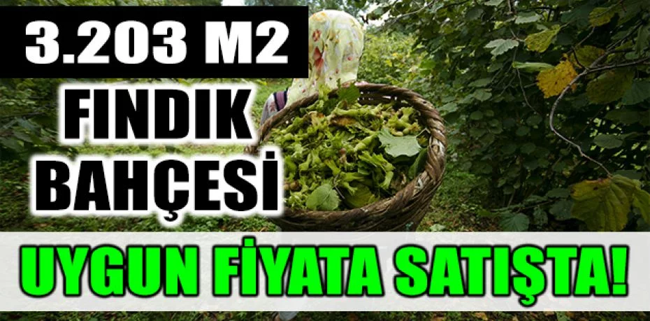 Sakarya Akyazı'da 3.203 m2 fındık bahçesi icradan satılıktır(çoklu satış)
