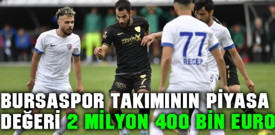 Bursaspor takımının piyasa değeri 2 milyon 400 bin Euro