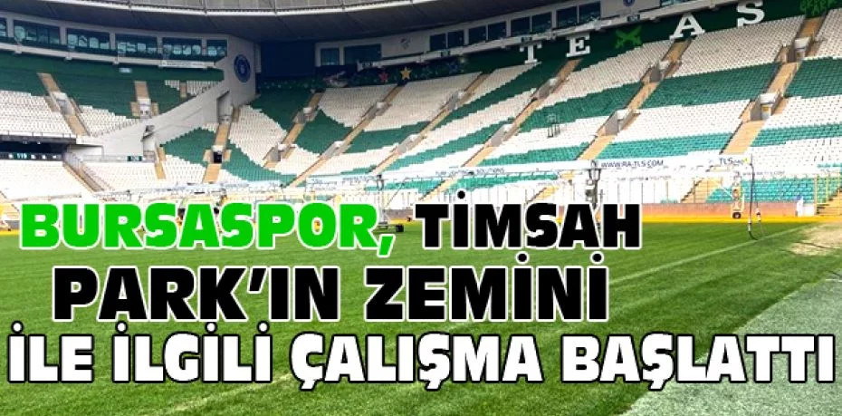 Bursaspor, Timsah Park’ın zemini ile ilgili çalışma başlattı