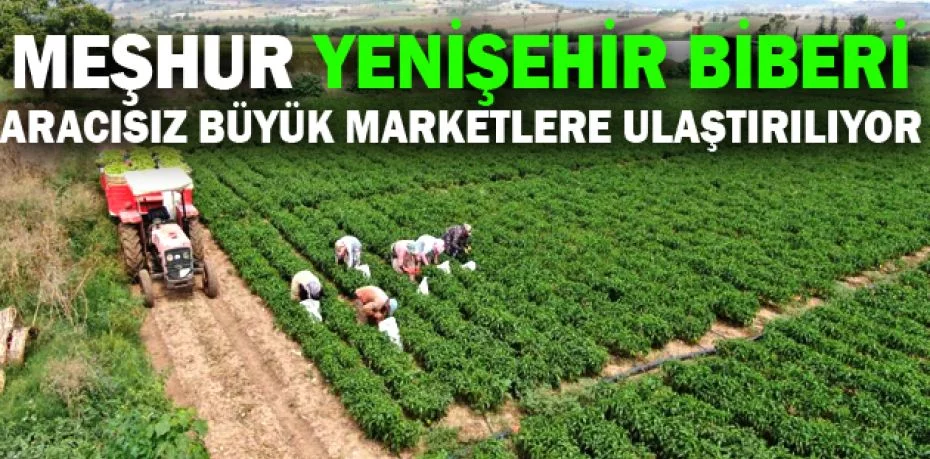 Bursa’da çiftçi ürettiğini komisyonsuz tüketiciye ulaştırıyor