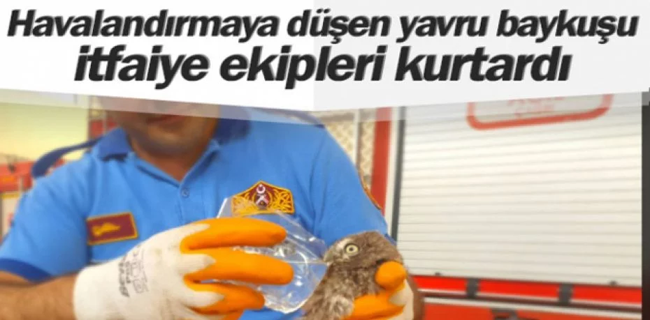 Havalandırma boşluğuna düşen yavru baykuşu itfaiye kurtardı