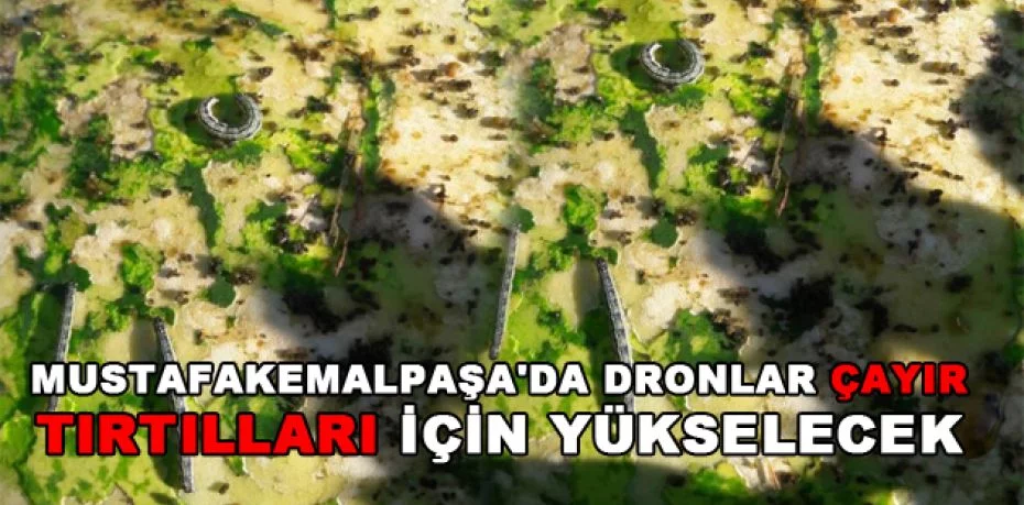Mustafakemalpaşa'da dronlar çayır tırtılları için yükselecek