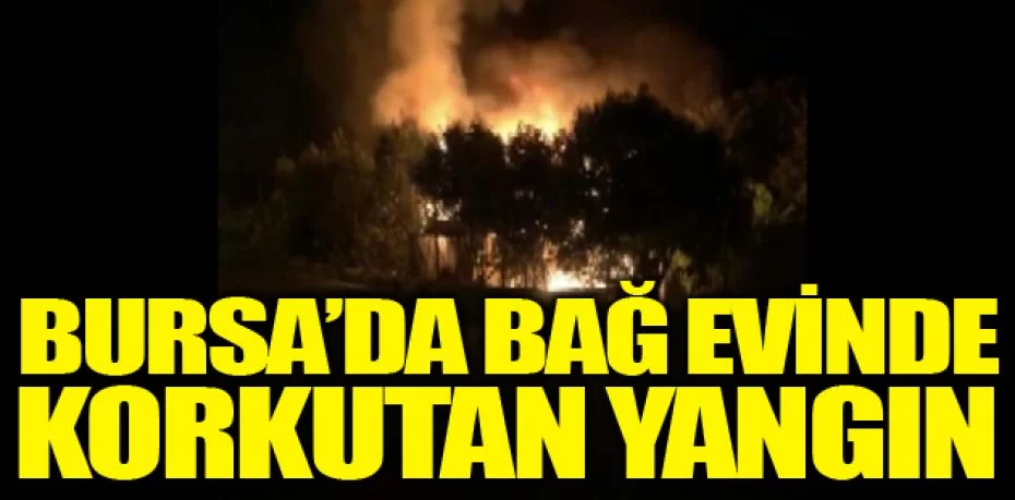 Bursa’da bağ evinde korkutan yangın