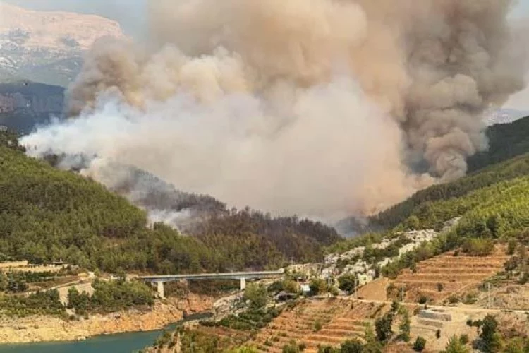 Antalya'da orman yangını! Bakan Yumaklı açıklama yaptı