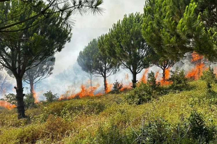 Karacabey’de ekipler  orman yangın riskine karşı teyakkuzdalar