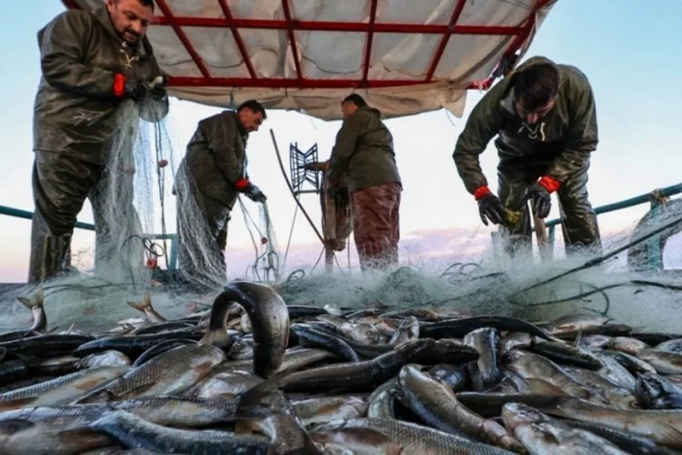 Balıkçılıkta yeni dönem: Artık avcılık yapamayacaklar