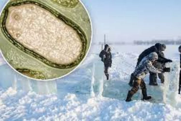Bilim İnsanları Uyarıyor: Sibirya Buzullarından Ölümcül Yeni Salgın Tehdidi