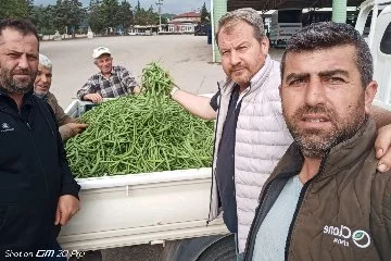 Bursa'da nazende fasulye hasadı