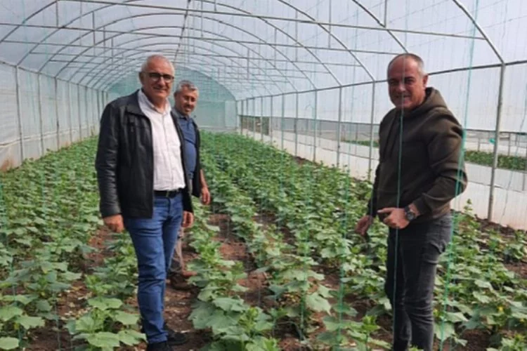 Bursa Gemlik Belediyesi'nde organik tarım çalışmaları