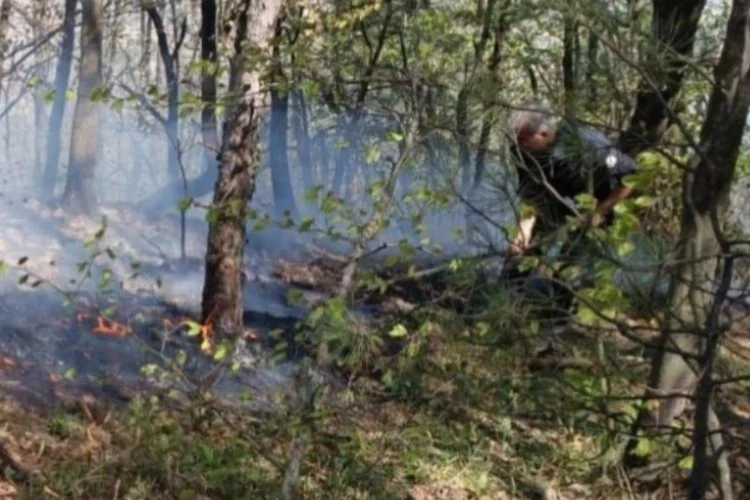 Bursa Orman Bölge Müdürlüğü çıkan yangını söndürme çalışmalarını paylaştı