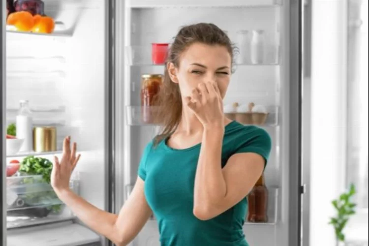 Buzdolabı Temizliği: Kötü Kokulara Son!