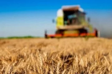 Çiftçiye tarımsal destek ödemesi artırıldı