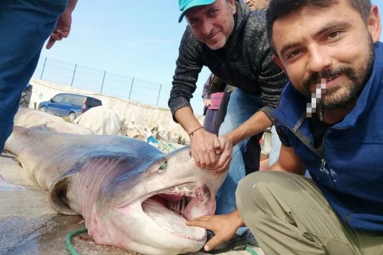 Marmaradan canavar çıktı! Balıkçılar yakaladı