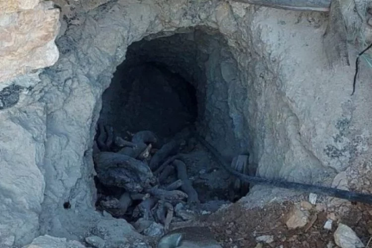 MSB Pençe-Kilit Operasyonu'nda bir adet sığınak ve mağara tespit etti