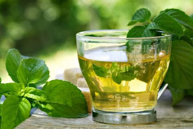 Nane Çayının Sağlığa Faydaları ve Yapımı