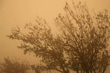 Sarı Kodlu Uyarı: Türkiye Çöl Tozlarının Etkisi Altında