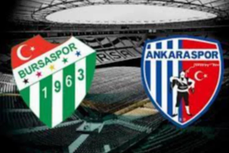 TFF 2. Lig: Bursaspor: 0 - Ankara Demispor: 2