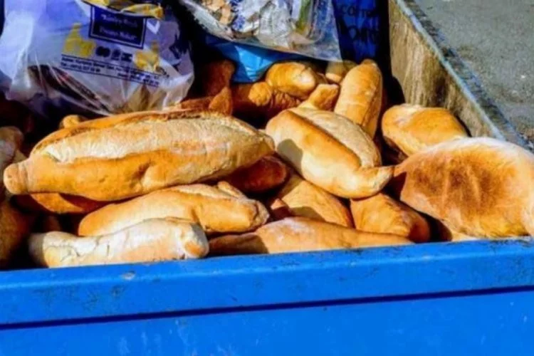 Türkiye'de 1 yılda çöpe giden ekmek 500 okul değerinde!