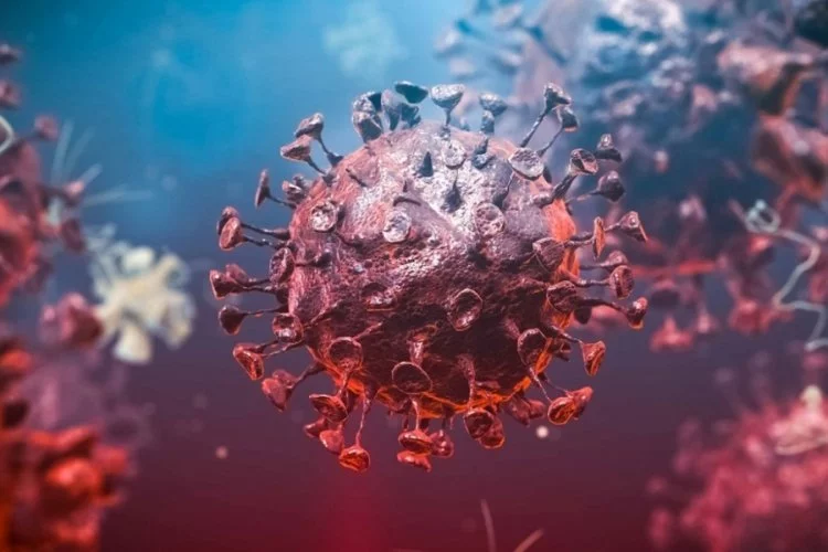 Türkiye için 'koronavirüs' uyarısı
